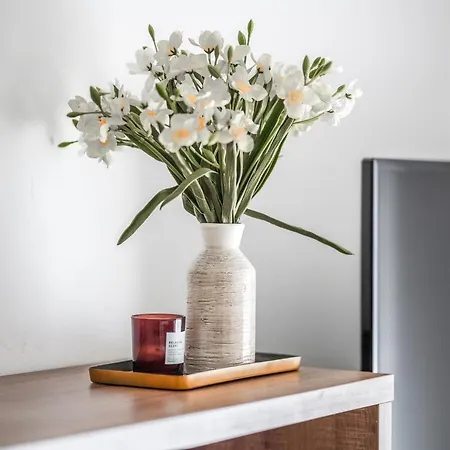 Cavar, Close To The Appartamento