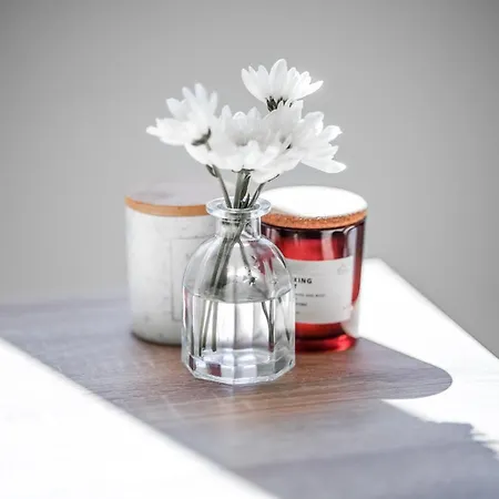 Cavar, Close To The Appartamento *