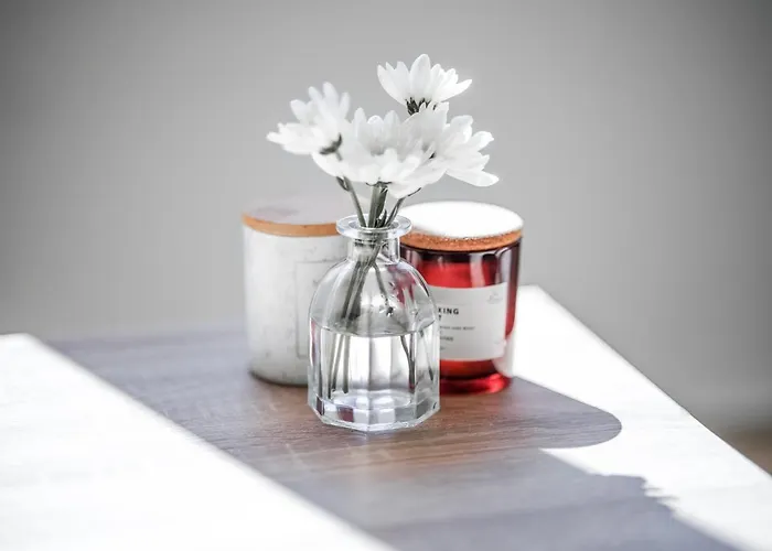 Cavar, Close To The Apartment *